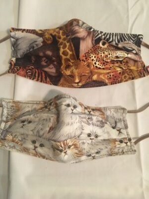 Original Pleated Mask